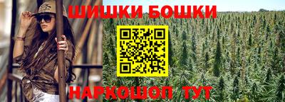 молекула духа Новозыбков