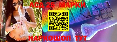 молекула духа Новозыбков