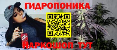 дурь Новодвинск