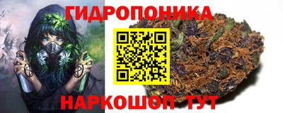 молекула духа Новозыбков