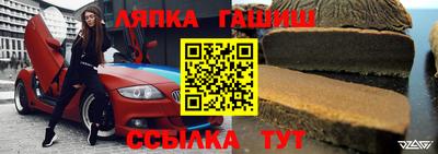 молекула духа Новозыбков
